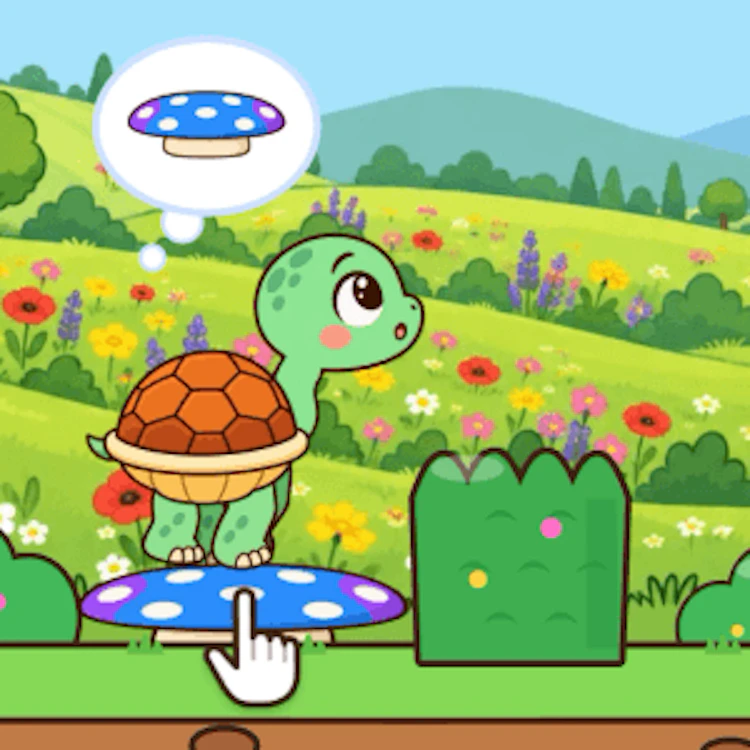 Schildpad Avontuur