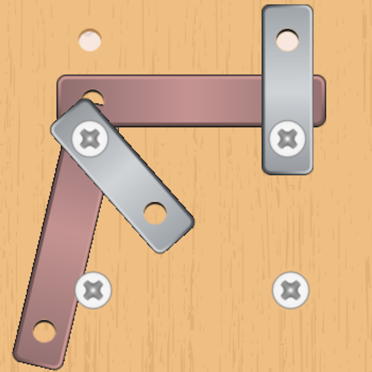Nuts and Bolts Puzzle